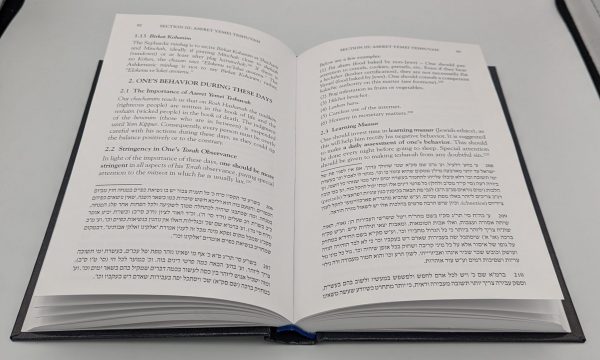 Shatu Ha'am: The Laws of Elul & Tishrei - Image 2